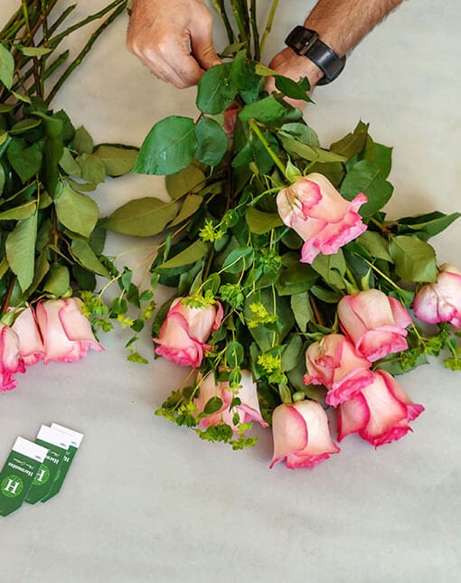 Preparing rose flowers